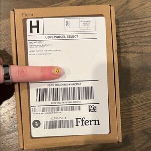 Ffern Winter 2026 Scent